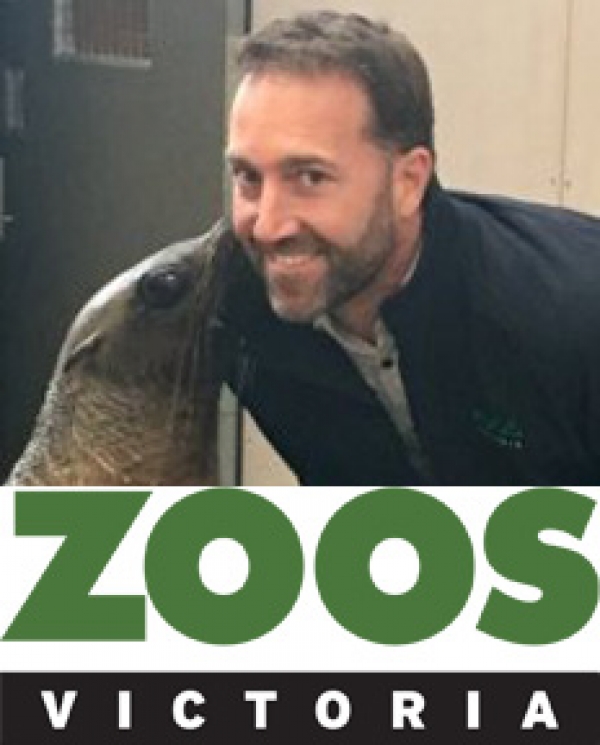 May 2018 Presentation: Safety and the Big Cats